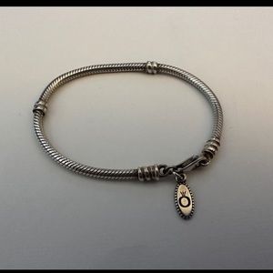 Pandora Charm Bracelet